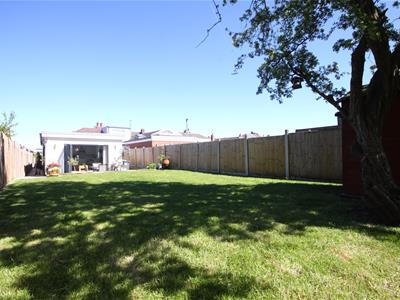 Picture 45